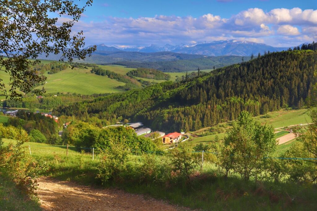 Podejście na czerwonym szlaku na Magurkę na Słowacji, widok na Tatry