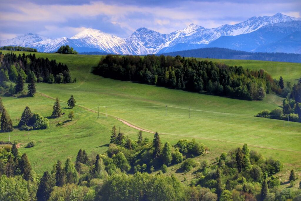 Polana, Tatry, widok z czerwonego szlaku na Magurkę na Słowacji