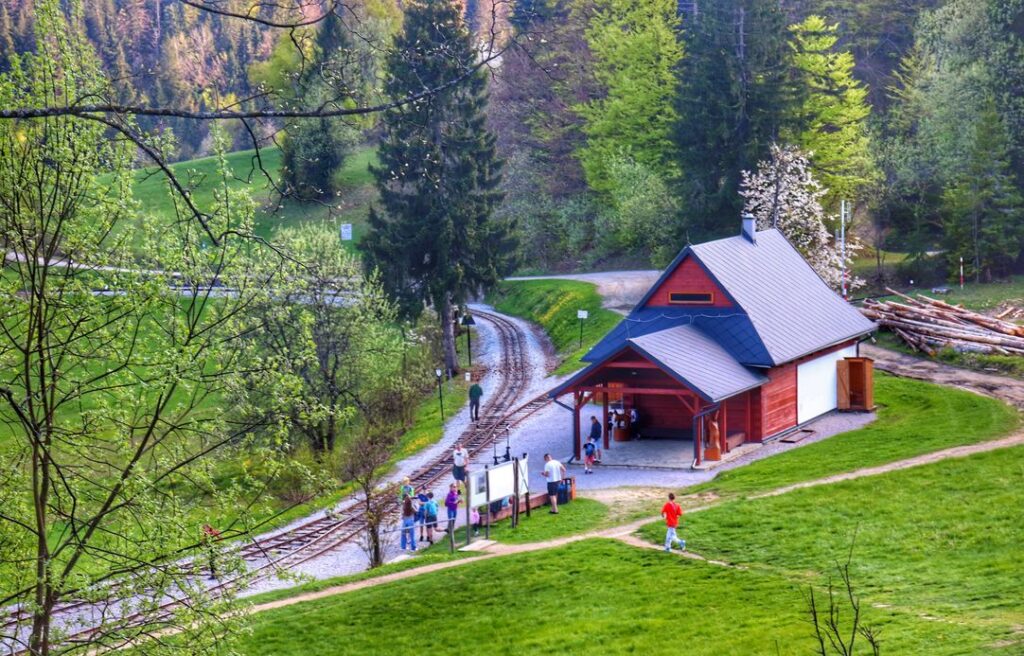 Przełęcz Beskyd - stacja, Kolej wąskotorowa w Orawskiej Leśnej