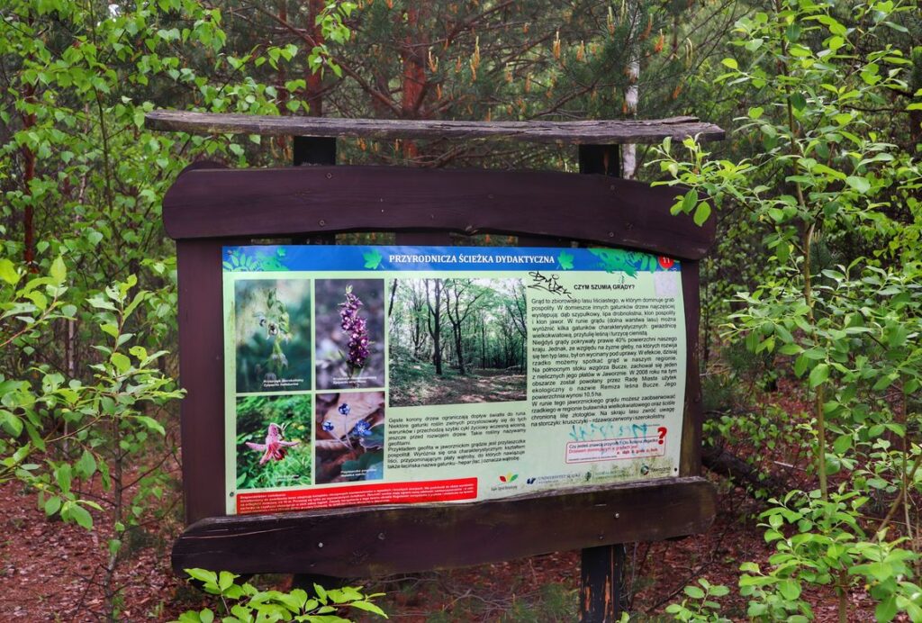 Przyrodnicza ścieżka dydaktyczna, Park Gródek, tablica