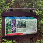 Przyrodnicza ścieżka dydaktyczna, Park Gródek, tablica