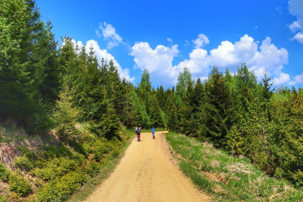 Rowerzyści, droga leśna - Lipnica Wielka na Orawie, niebieskie niebo