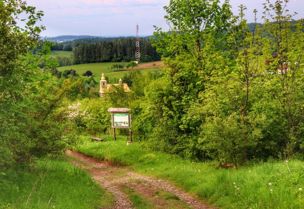 Ścieżka leśna, widok na Kościół w Lesznej Górnej