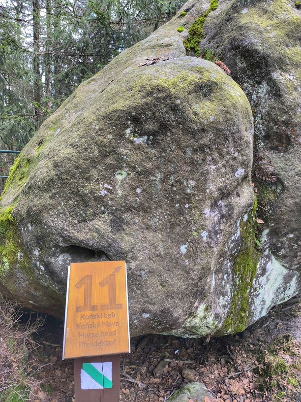 Skała - Koński Łeb, trasa turystyczna Szczeliniec Wielki