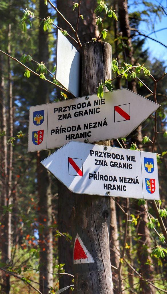 Słup z drogowskazami - Przyroda nie zna granic - Goleszów