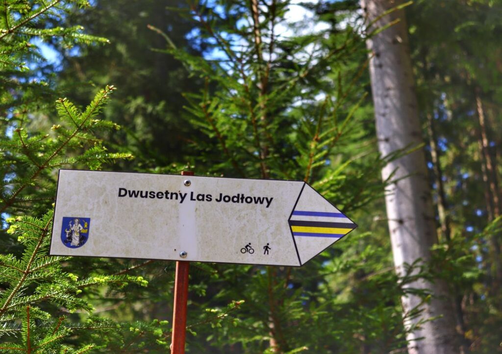 Słup z drogowskazem, Dwusetny Las Jodłowy w Lipnicy Wielkiej
