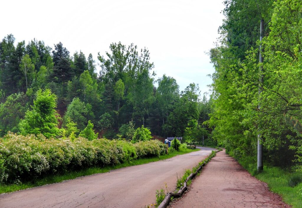 Szeroka asfaltowa droga, Park Gródek, Jaworzno