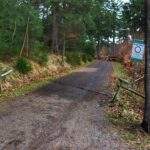 Szeroka droga leśna, wejście na szlak zielony z parkingu przy Kamieniu ku czci Heinricha Rübartscha