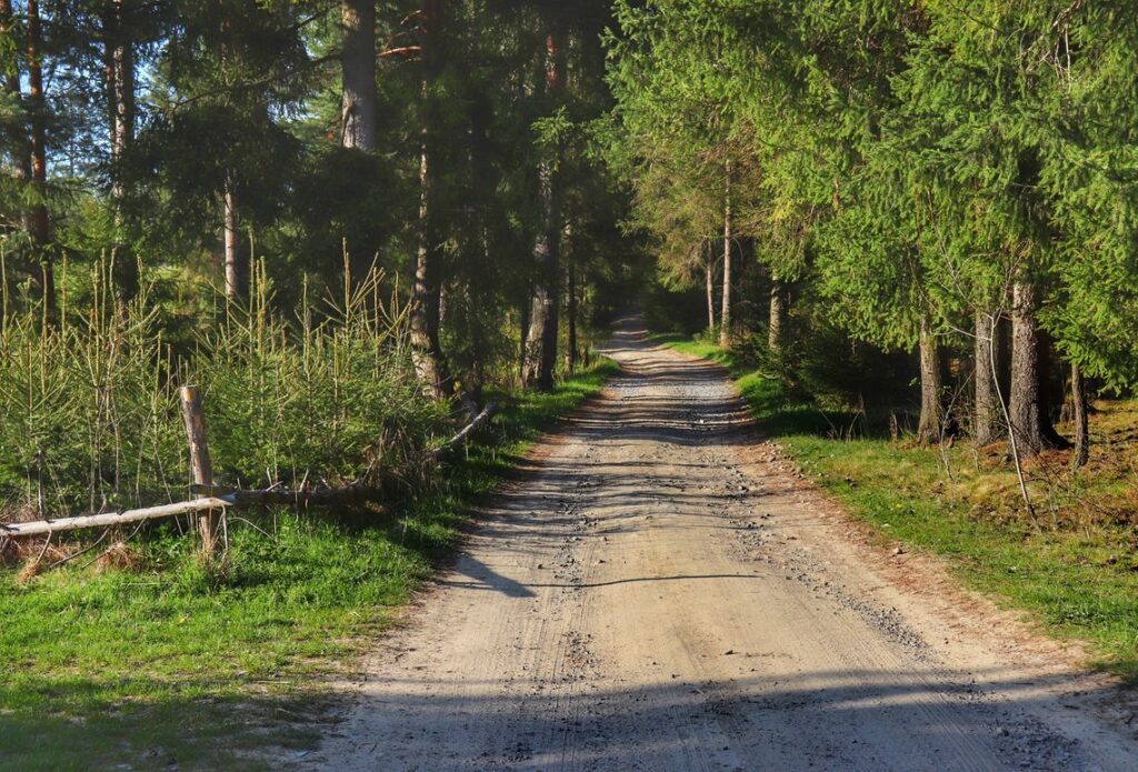Szeroka droga leśna - żółty szlak - Lipnica Wielka