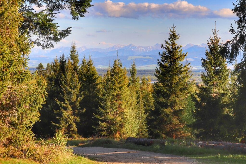 Szeroka droga na żółtym szlaku - Lipnica Wielka, widok na Tatry