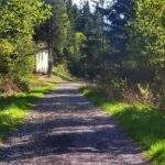 Szeroka i leśna droga - Útulňa pod Magurkou na Słowacji