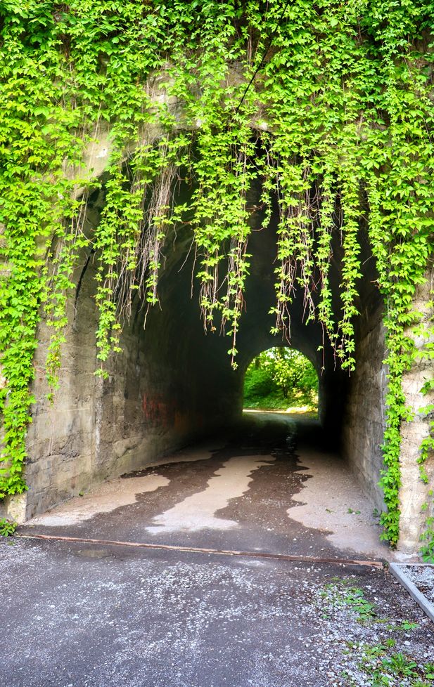 Tunel wjazdowy byłej kolejki wąskotorowej w Goleszowie