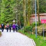 Turyści, teren Parku Narodowego Gór Stołowych, w drodze na trasę turystyczną Szczeliniec Wielki