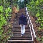 Turysta, drewniane, strome schody, Park Gródek, Jaworzno
