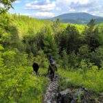 Turysta z dzieckiem na czerwonym szlaku spacerowym w Goleszowie - Wyrchgóra zejście