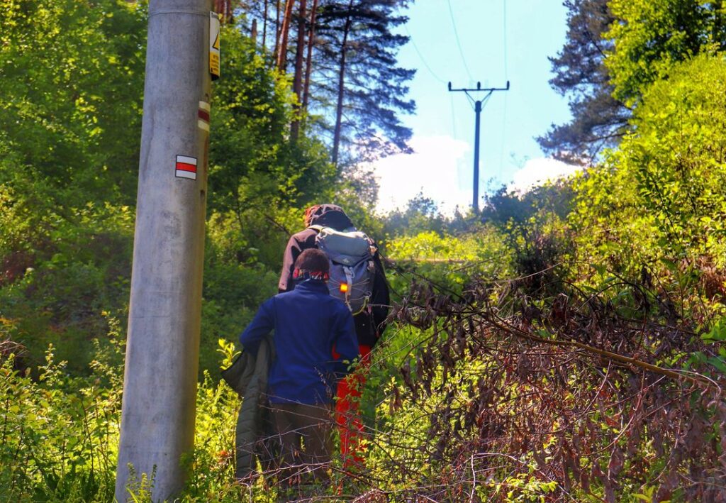 Wąska, zarośnięta ścieżka idąca wzdłuż słupów energetycznych na czerwonym szlaku na Magurkę - Magura Orawska