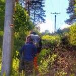 Wąska, zarośnięta ścieżka idąca wzdłuż słupów energetycznych na czerwonym szlaku na Magurkę - Magura Orawska