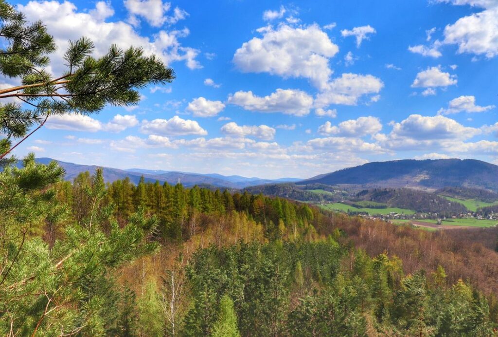 Widok na Beskidy, Wyrchgóra w Beskidach