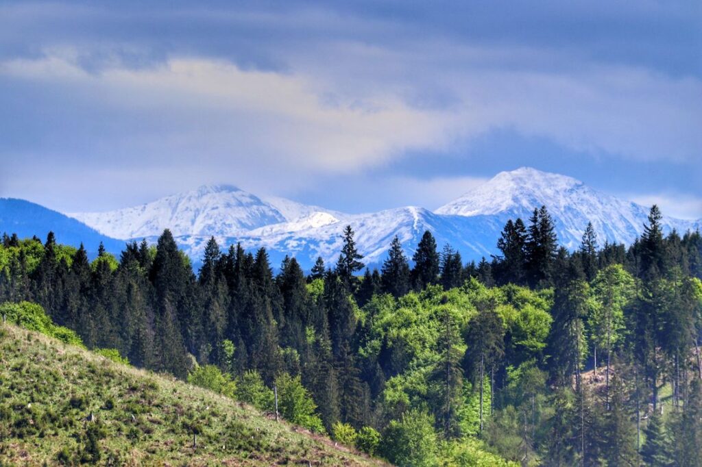 Widok na Tatry, czerwony szlak na Magurkę - Magura Orawska