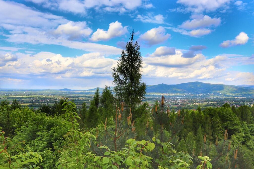 Widok rozciągający się z punktu widokowego w Goleszowie - Wyrchgóra