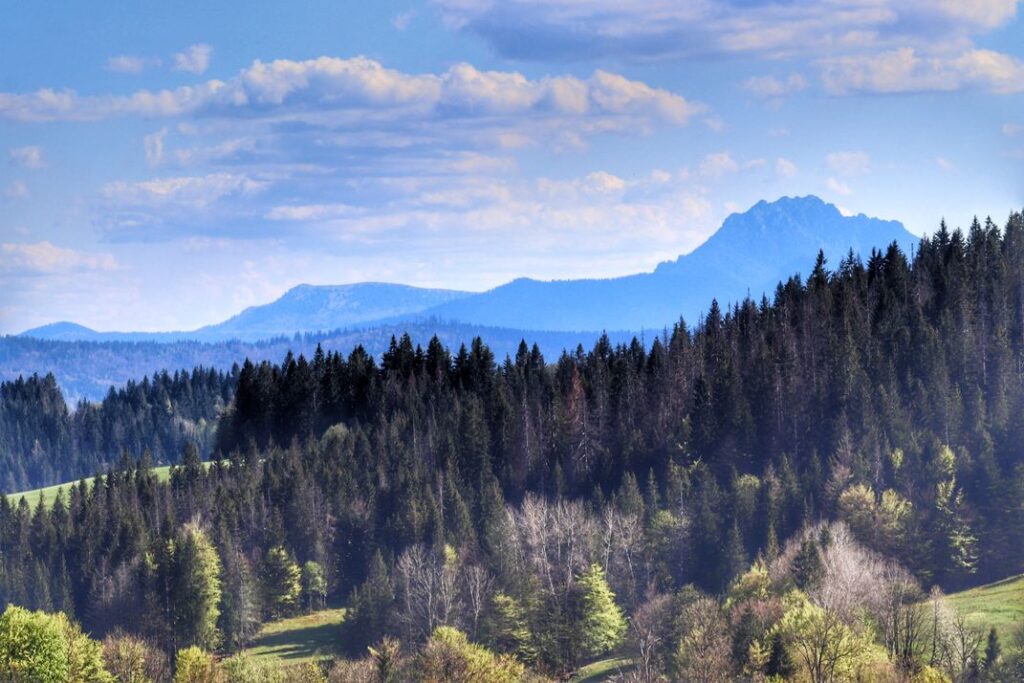 Widok z wieży widokowej - Przełęcz Beskyd na Słowacji