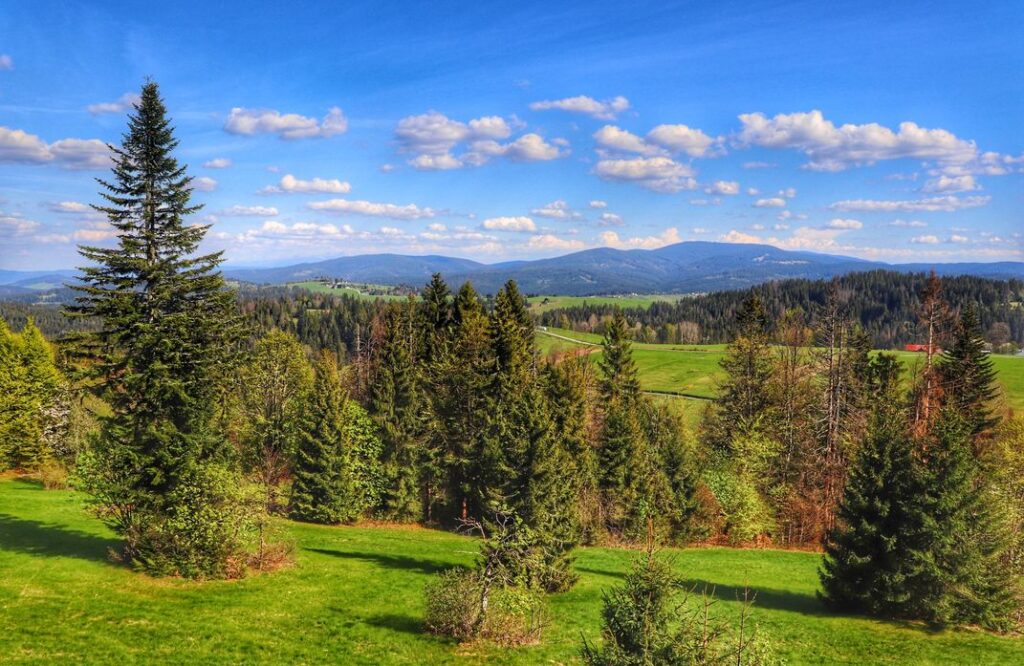Widok z wieży widokowej - Przełęcz Beskyd na Słowacji