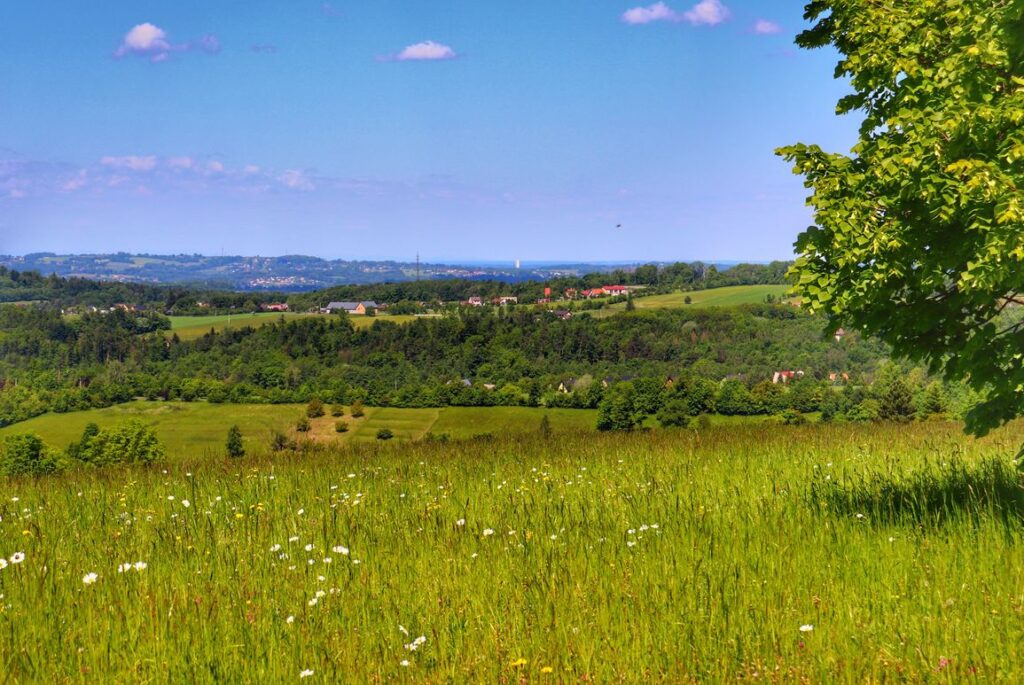 Widoki rozciągające się ze ścieżki - Przyroda nie zna granic, Leszna Górna