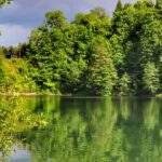 Wiosenny akwen Ton w Goleszowie