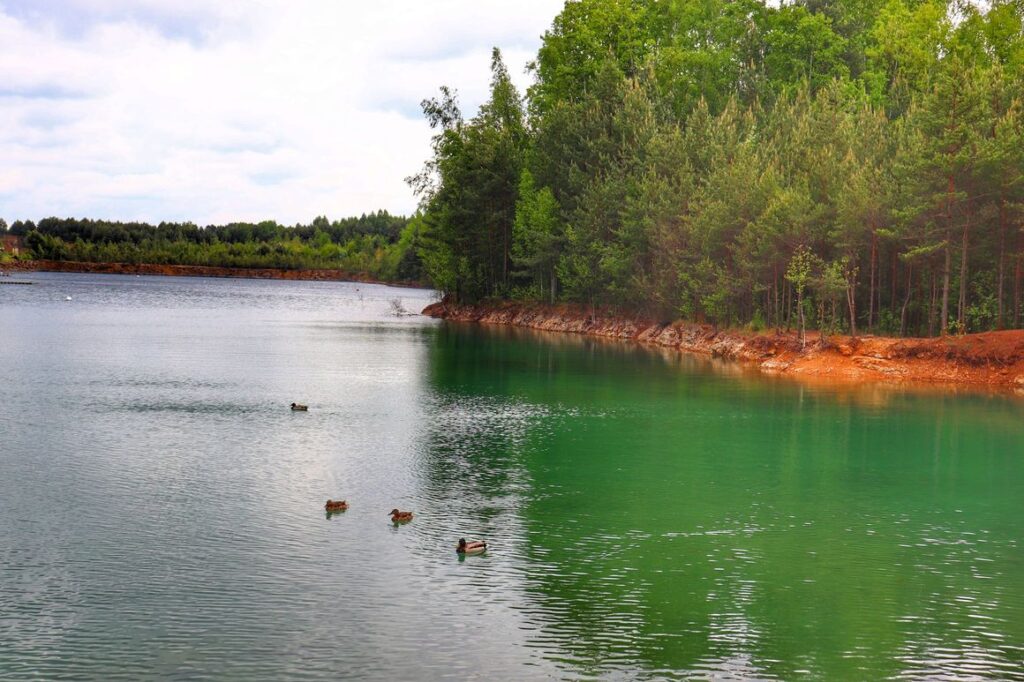 Zbiornik Gródek - Orka, Park Gródek w Jaworznie