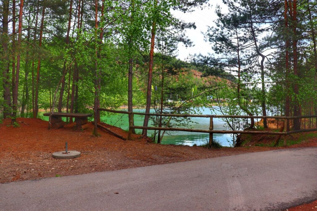 Zbiornik Gródek - Orka, Park Gródek w Jaworznie, droga leśna