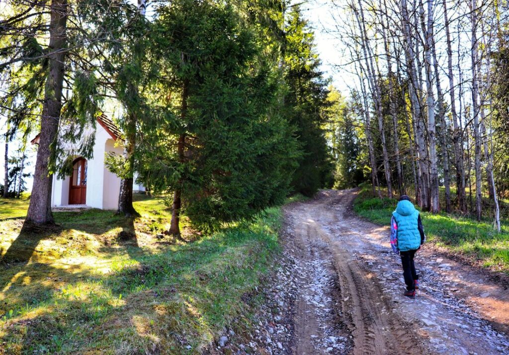 Dziecko, szeroka droga leśna, Zakamenne Kalwaria