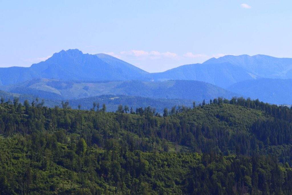 Nová Bystrica wieża widokowa, widok z górnego tarasu wieży widokowej, Fatra