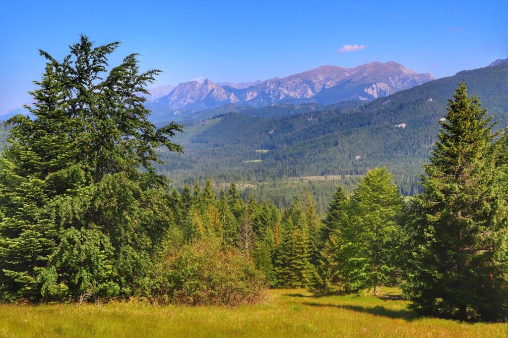 Oravice na Słowacji, polana na czerwonym szlaku z widokiem na Tatry