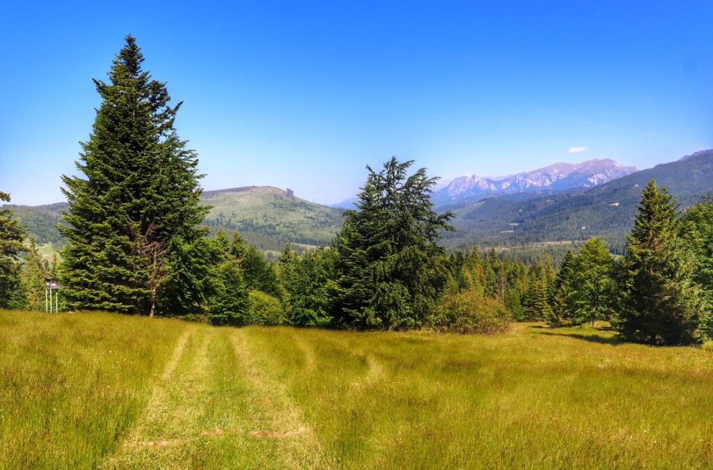 Oravice polana widokowa na czerwonym szlaku, widok na Tatry