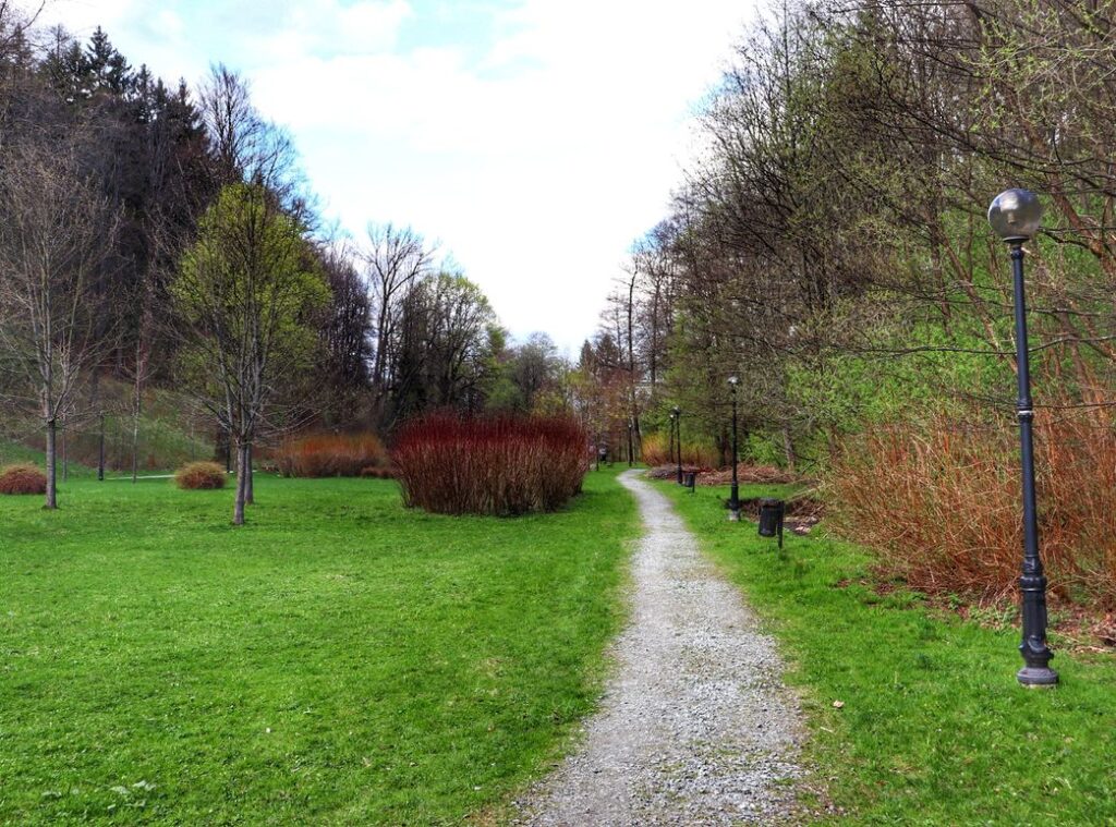 Park Rekreacyjno-Wypoczynkowym Czarny Staw - ścieżka