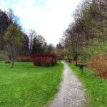 Park Rekreacyjno-Wypoczynkowym Czarny Staw - ścieżka