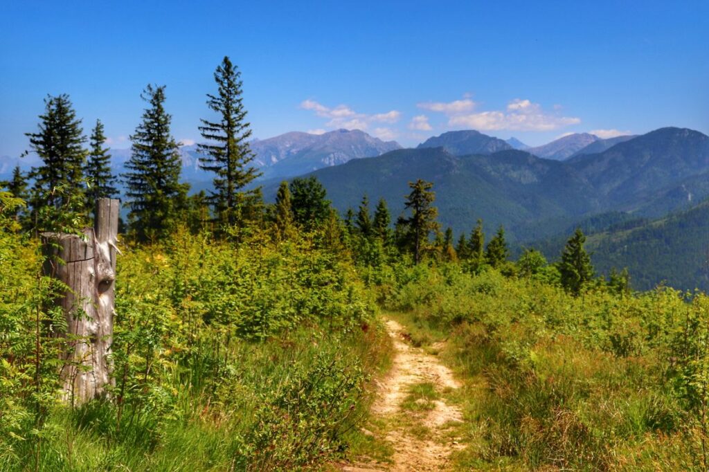 Ścieżka z widokiem na Tatry, Słowacja