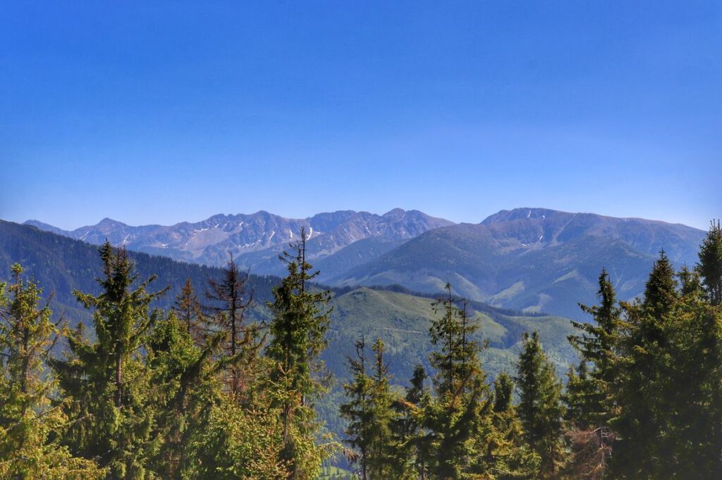 Skoruszyna na Słowacji, widok na Tatry z wieży widokowej