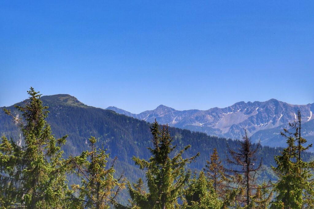 Skoruszyna wieża widokowa, widok na Tatry, Słowacja