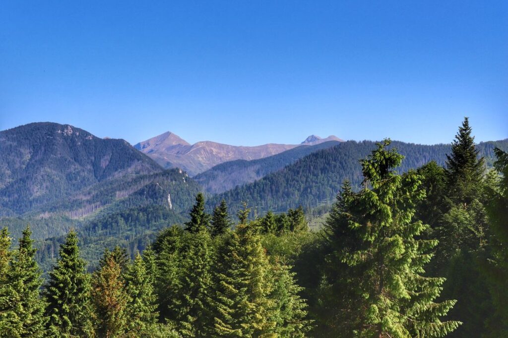 Skoruszyna wieża widokowa, widok na Tatry, Słowacja