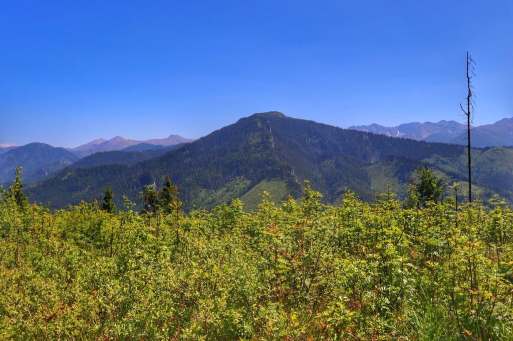 Widok na Tatry, Słowacja, letni dzień