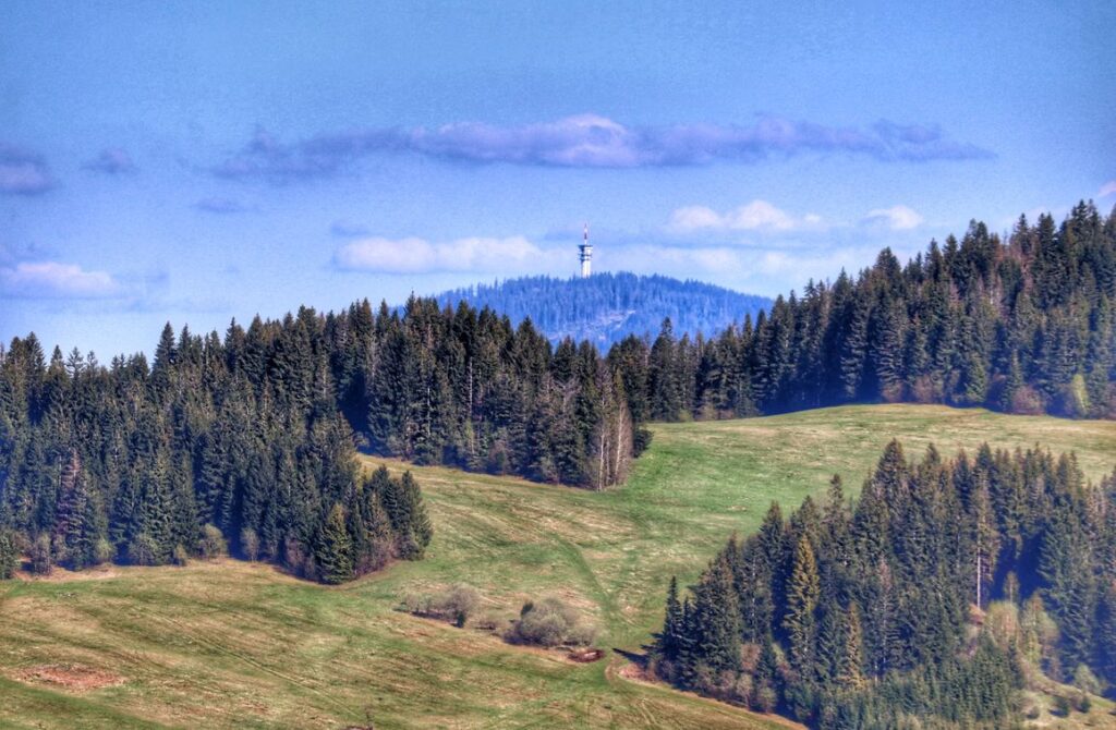 Widok na szczyt Magurka - Magura Orawska z wieży widokowej Zakamenne