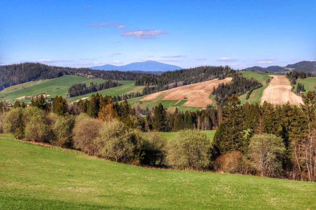 Widok rozciągający się z wieży widokowej Zakamenne