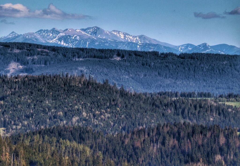 Zbliżenie - Fatra, widok z wieży widokowej Zakamenne na Słowacji