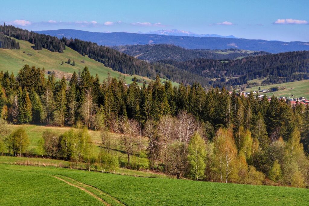 Widok rozciągający się z wieży widokowej Zakamenne - polana, Fatra