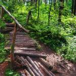 Drewniana kładka, barierka, środek lasu - Rezerwat Przyrody Bukovec, Czechy