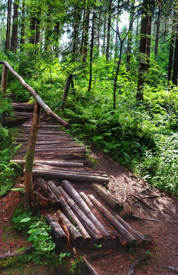 Drewniana kładka, barierka, środek lasu - Rezerwat Przyrody Bukovec, Czechy