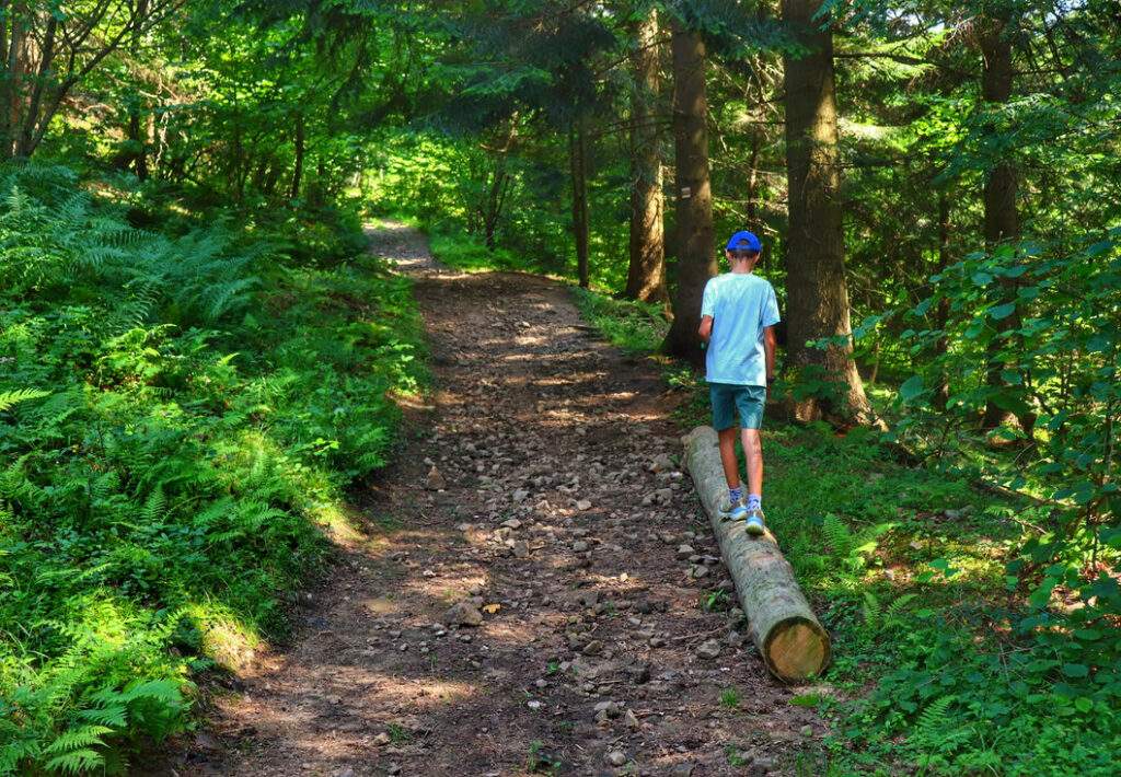 Dziecko, droga leśna na żółtym szlaku, Oszczadnica