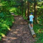 Dziecko, droga leśna na żółtym szlaku, Oszczadnica