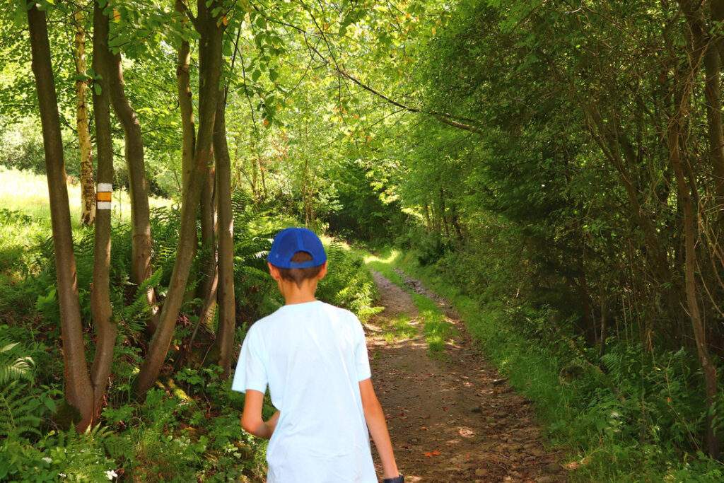 Dziecko na żółtym szlaku, Oszczadnica na Słowacji, las, słoneczny dzień